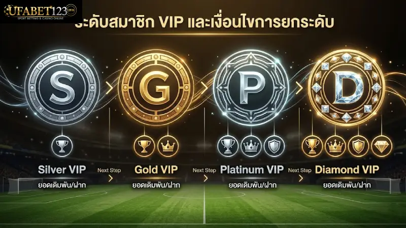 ระดับชั้นของสมาชิก VIP และเงื่อนไขการอัปเกรด